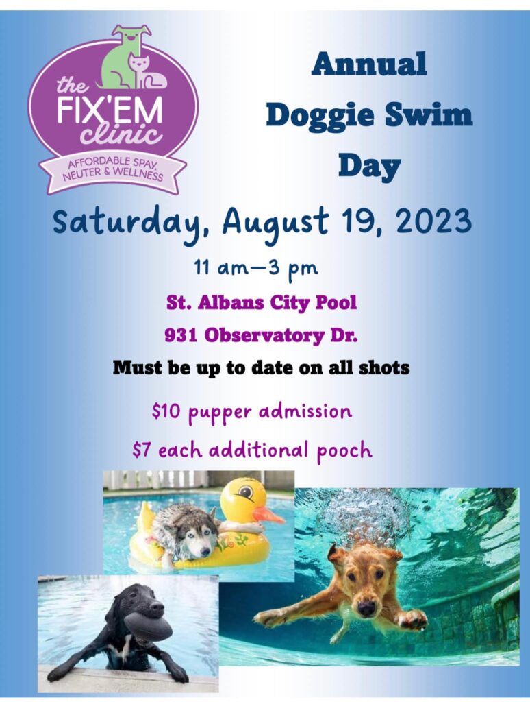 Annual Doggie Swim on August 19th