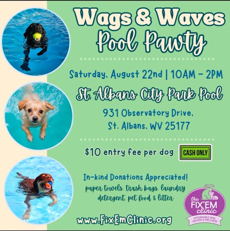 Wags & Waves Pool Pawty